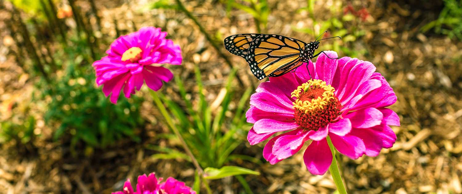 Contact Us | Photo Credit: Visit Beloit