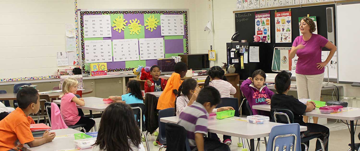 Teacher's Mini-Grant