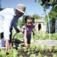 2017 merrill community garden grant featured